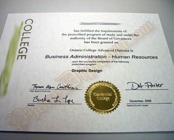 International Canada Fake Diploma With Gold Foil Embossed Seal